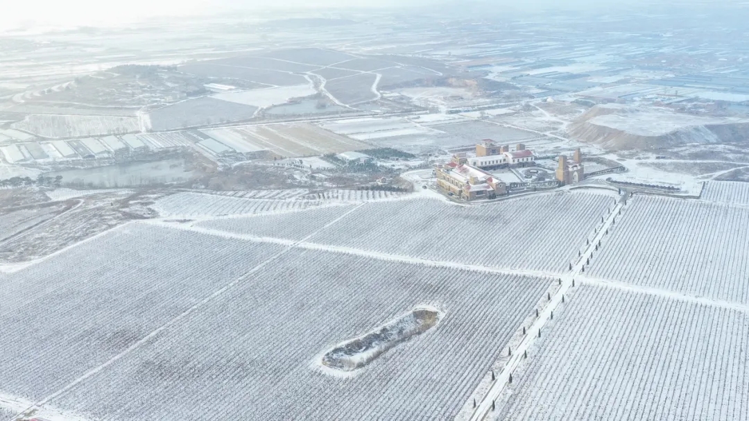 九頂莊園 | 雪，是自然送給大地的情書(shū)